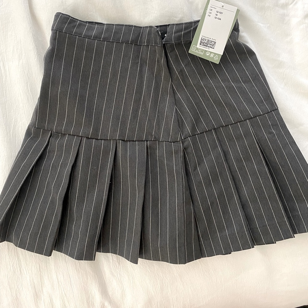 NWT never worn skirt pleated pin stripe